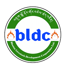 BLDCL
